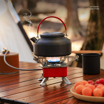 Folding Outdoor Gas Stove